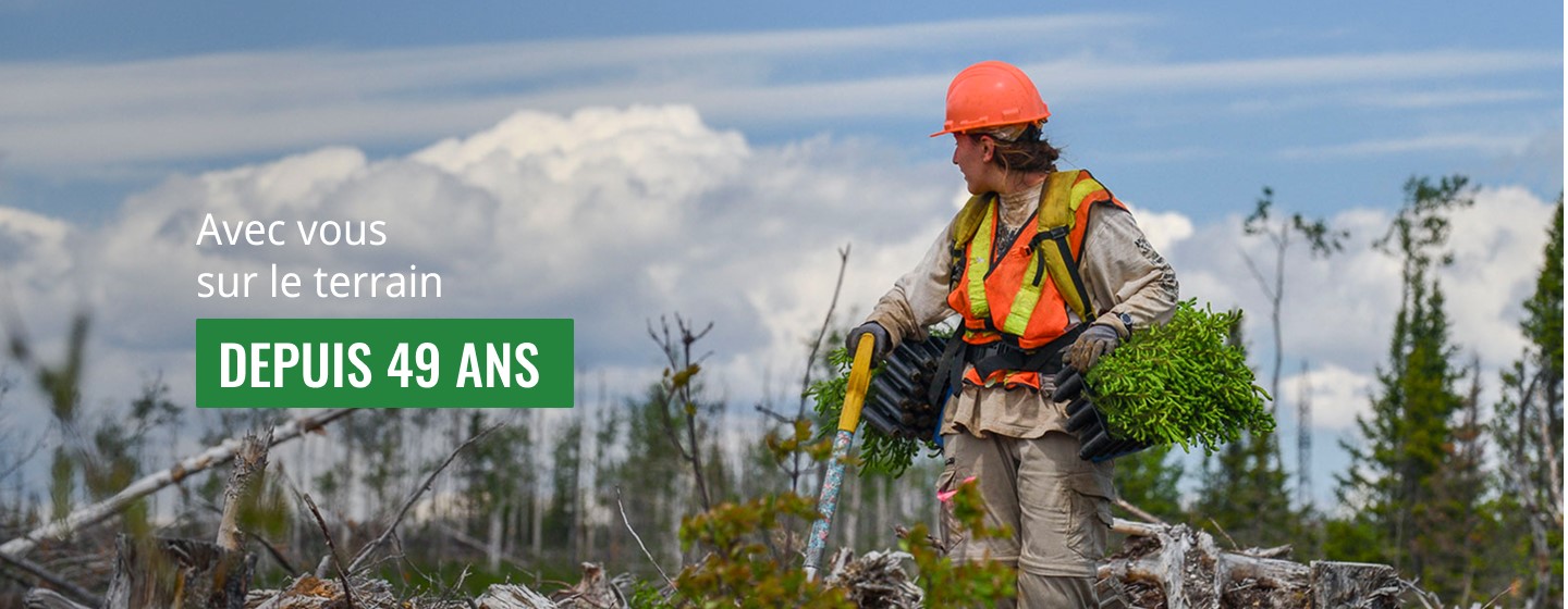 Forestry Equipment | Dendrotik